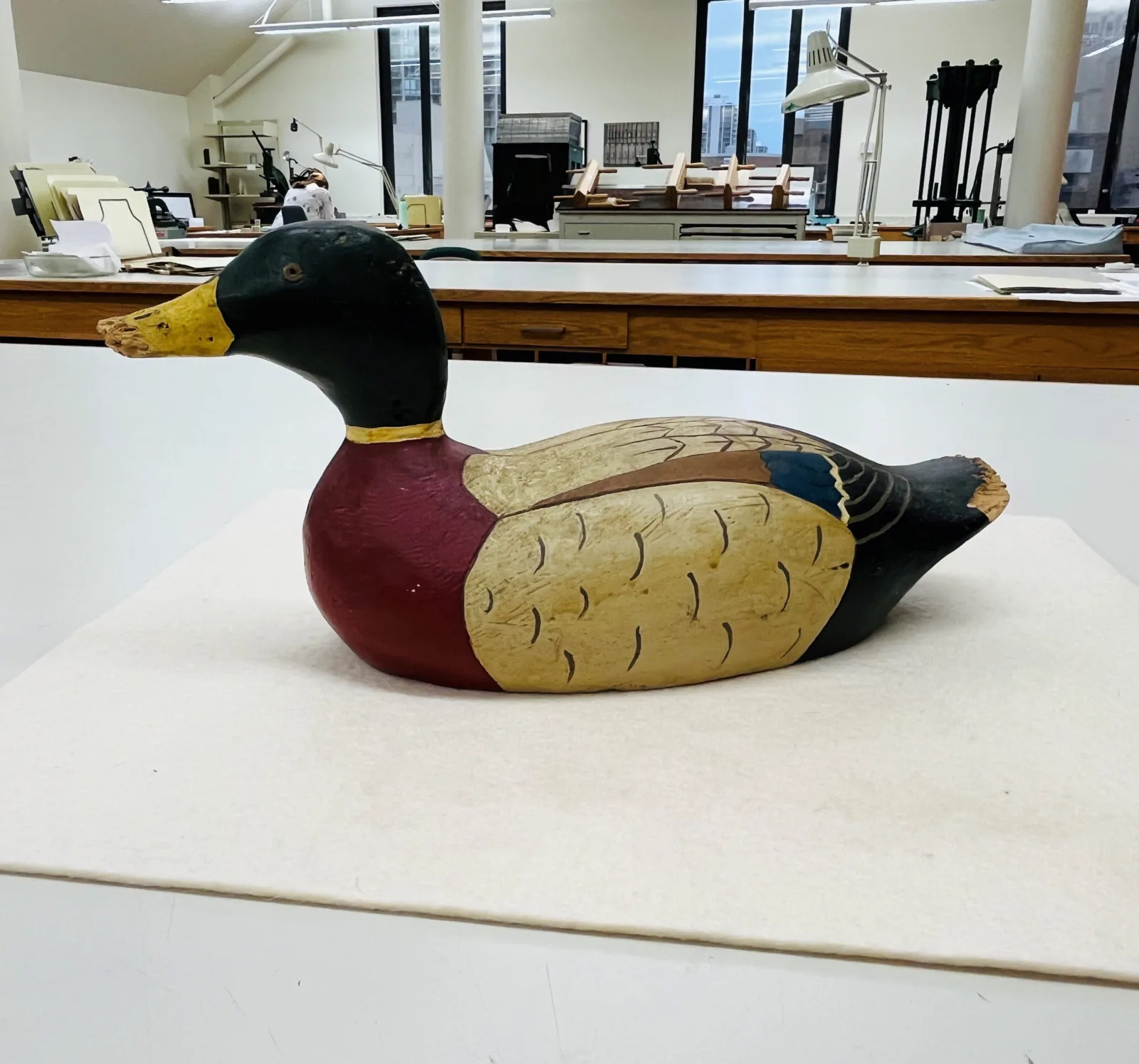 Lord Mallard image for blog